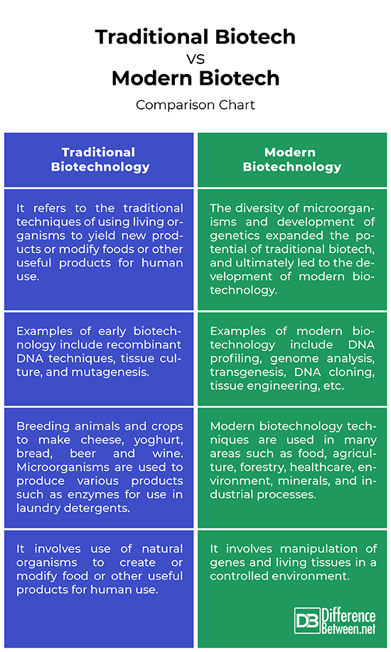 Traditional vs. Modern Crafting Techniques: A Comparative Analysis
