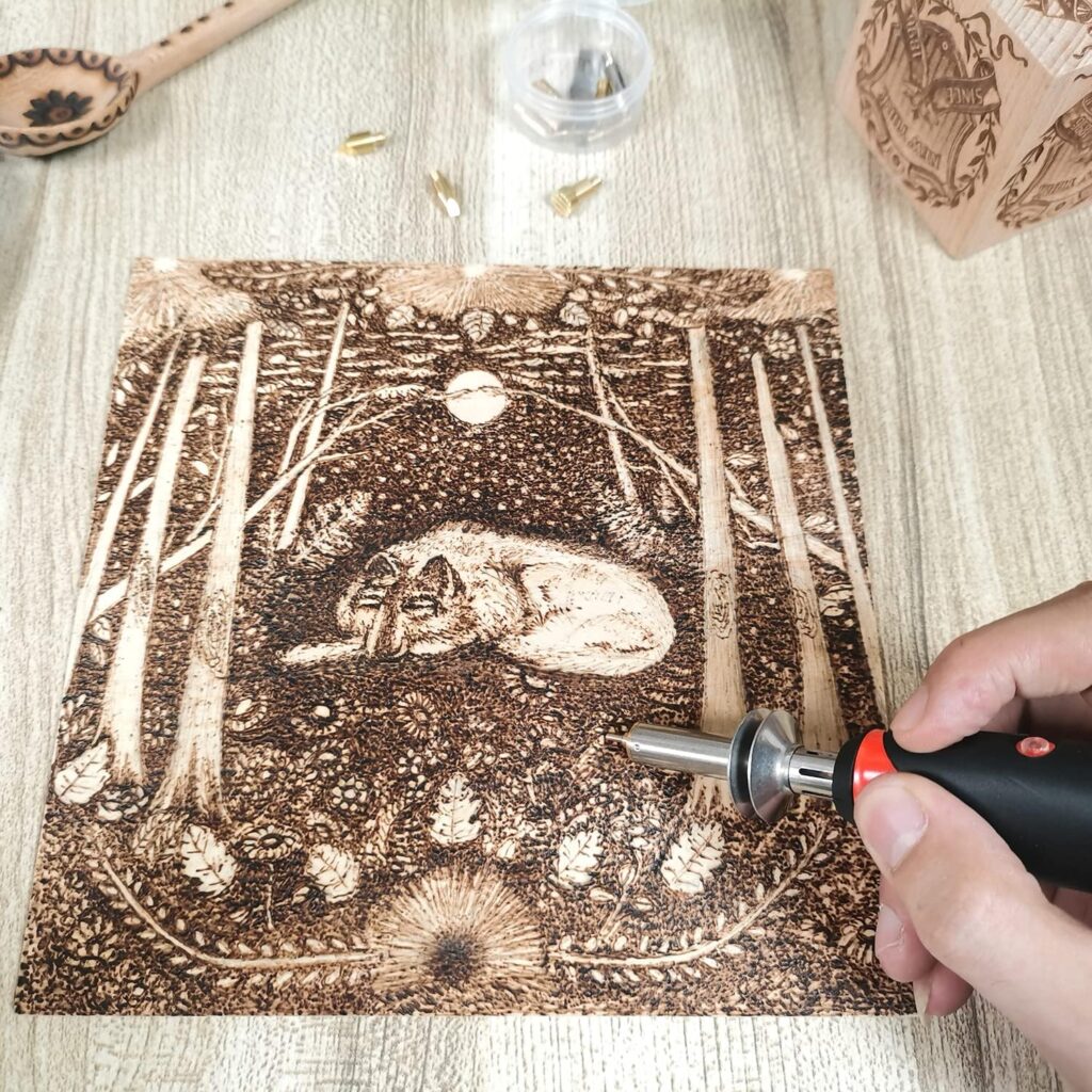 AOUTK Wood Burning kit, Professional WoodBurning Pen Tool, DIY Creative Tools ,Wood Burner for Embossing/Carving/Pyrography，Suitable for Beginners,Adults